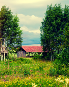 Early Days on the homestead