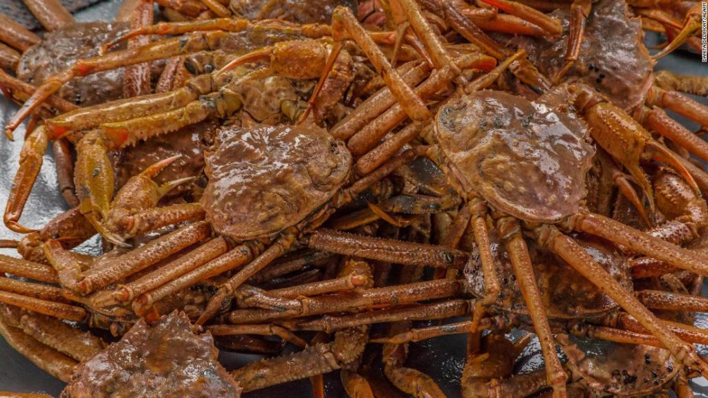 Why Have Billions Of Snow Crabs Disappeared From Alaskan Waters