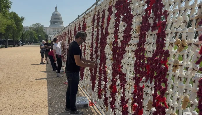 Volunteers at the teddy bear installation. (Photo by Emily Robertson/Washington Examiner)