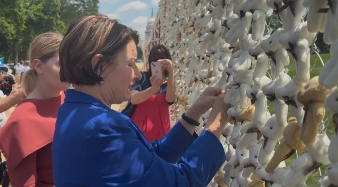 Sen. Amy Klobuchar (D-MN) attaching a teddy bear to the installation. (Photo by Emily Robertson/Washington Examiner)