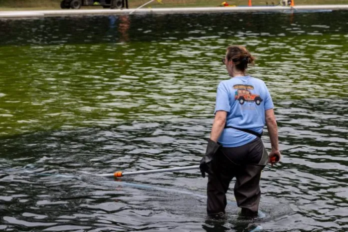 Worker cleans algae from the Lincoln Memorial Reflecting Pool.