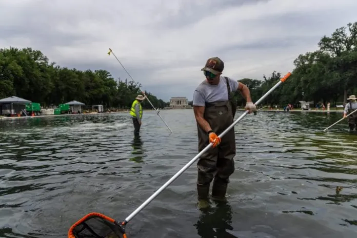 Workers scoop algae from the Lincoln Memorial Reflecting Pool.