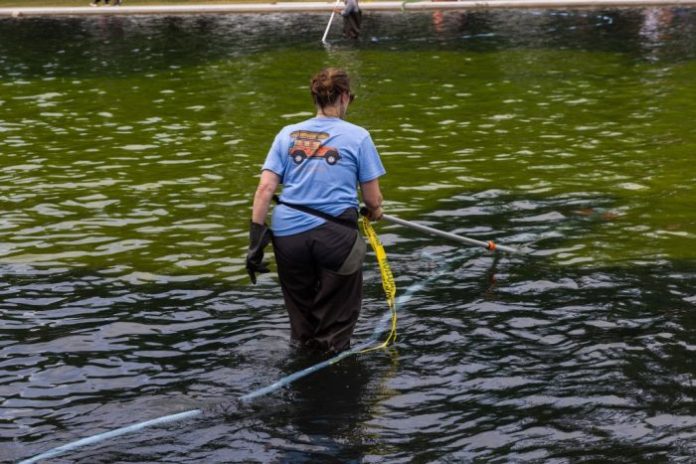 Worker cleans algae from the Lincoln Memorial Reflecting Pool.