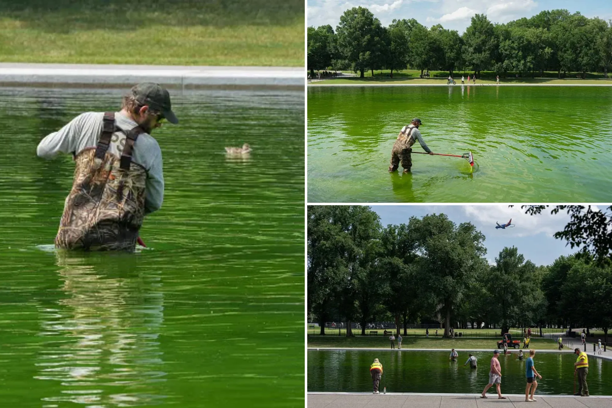 NPS workers battle algae 